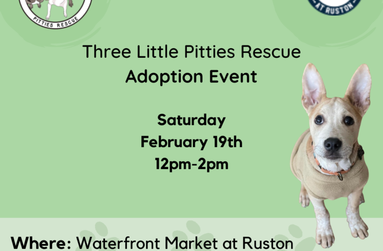 Pet Adoption in Ruston Washington