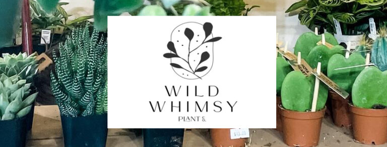 wild whimsey plant co plant stylist 768x292